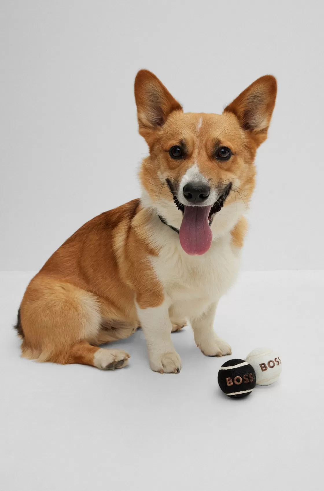 HUGO BOSS Dog Ball Set White Flash Sale