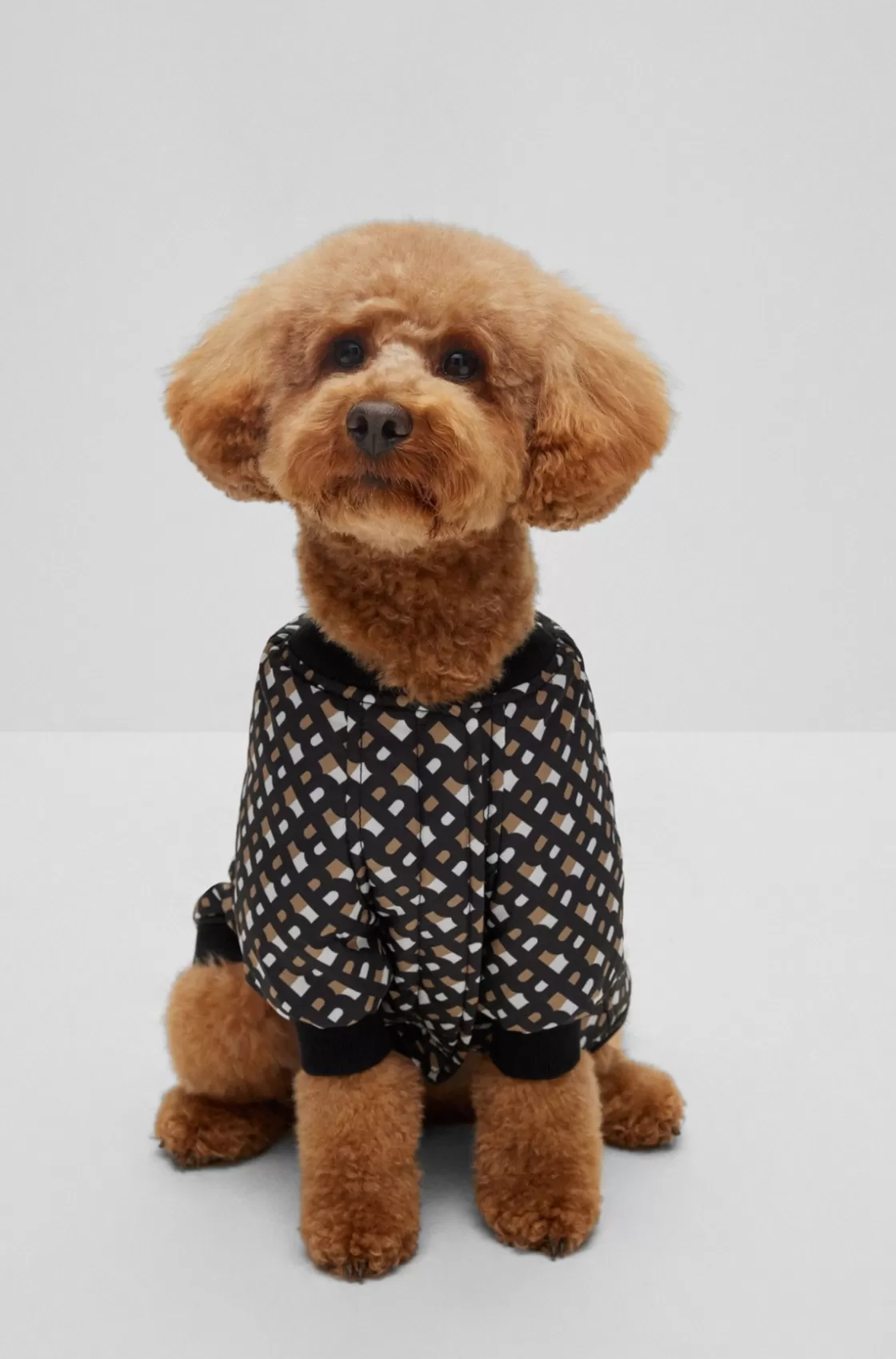 HUGO BOSS Dog Bomber Jacket Black Best