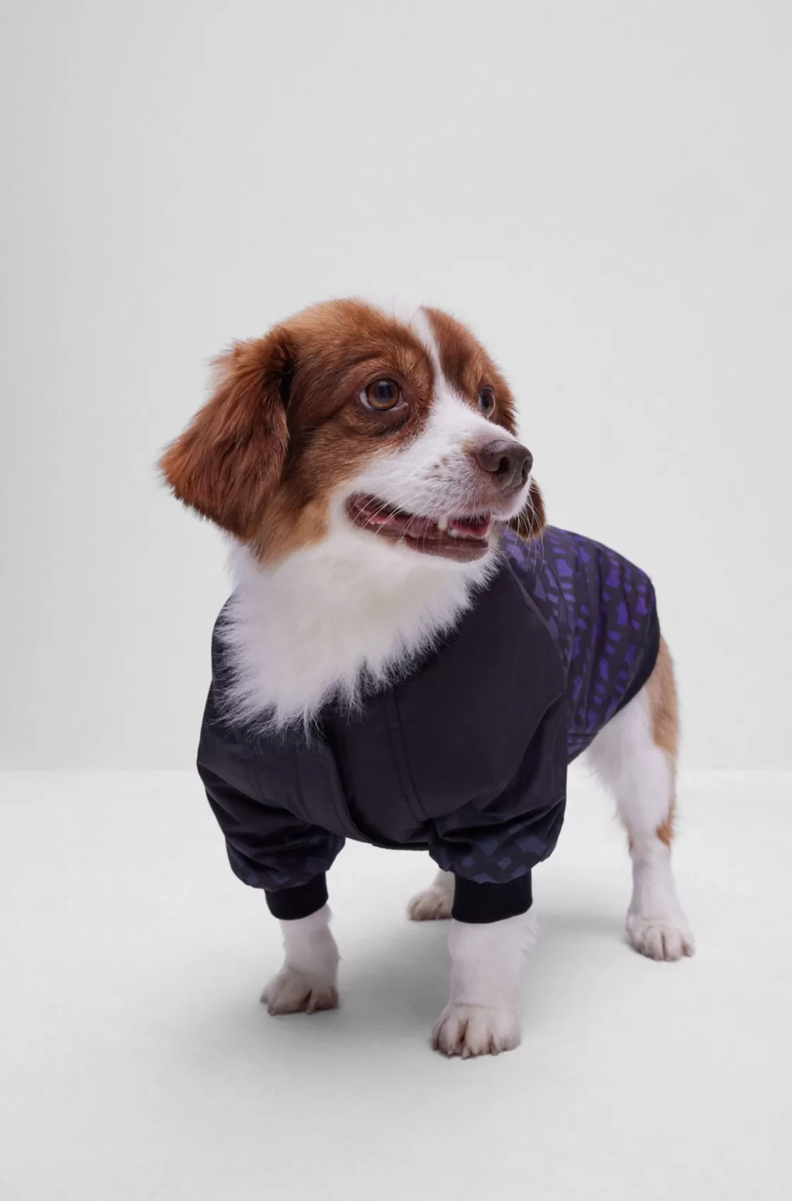 HUGO BOSS Dog Bomber Jacket With Degradé Monograms Black Clearance
