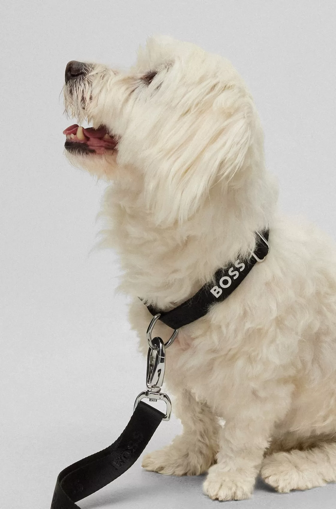 HUGO BOSS Dog Collar With Jacquard Logo Detailing Black New