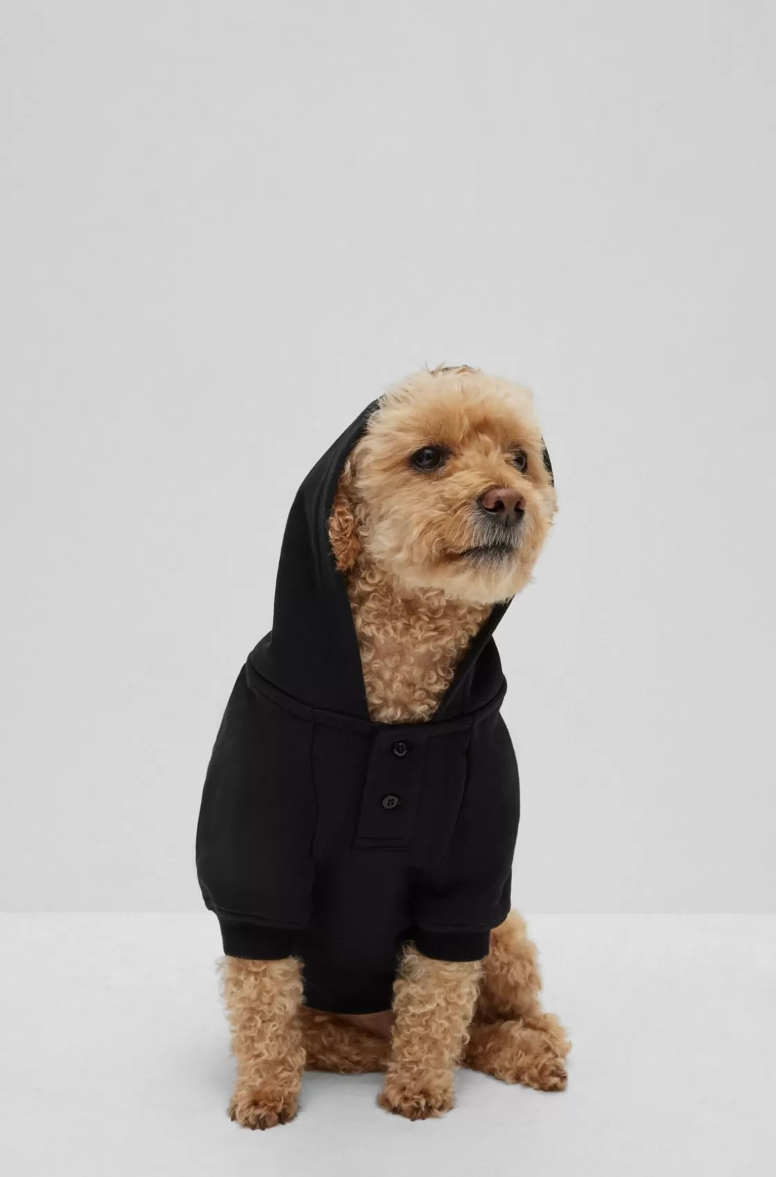 HUGO BOSS Dog Hoodie In Cotton With Khaby Lame-inspired Artwork Black Best