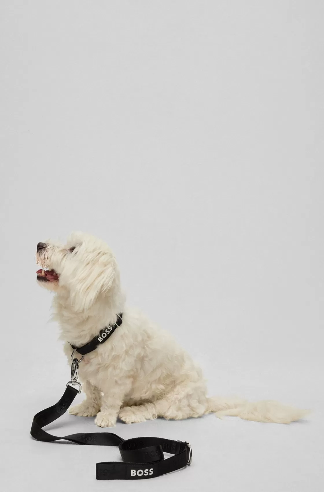 HUGO BOSS Dog Lead With Jacquard Logo Detailing Black Best Sale