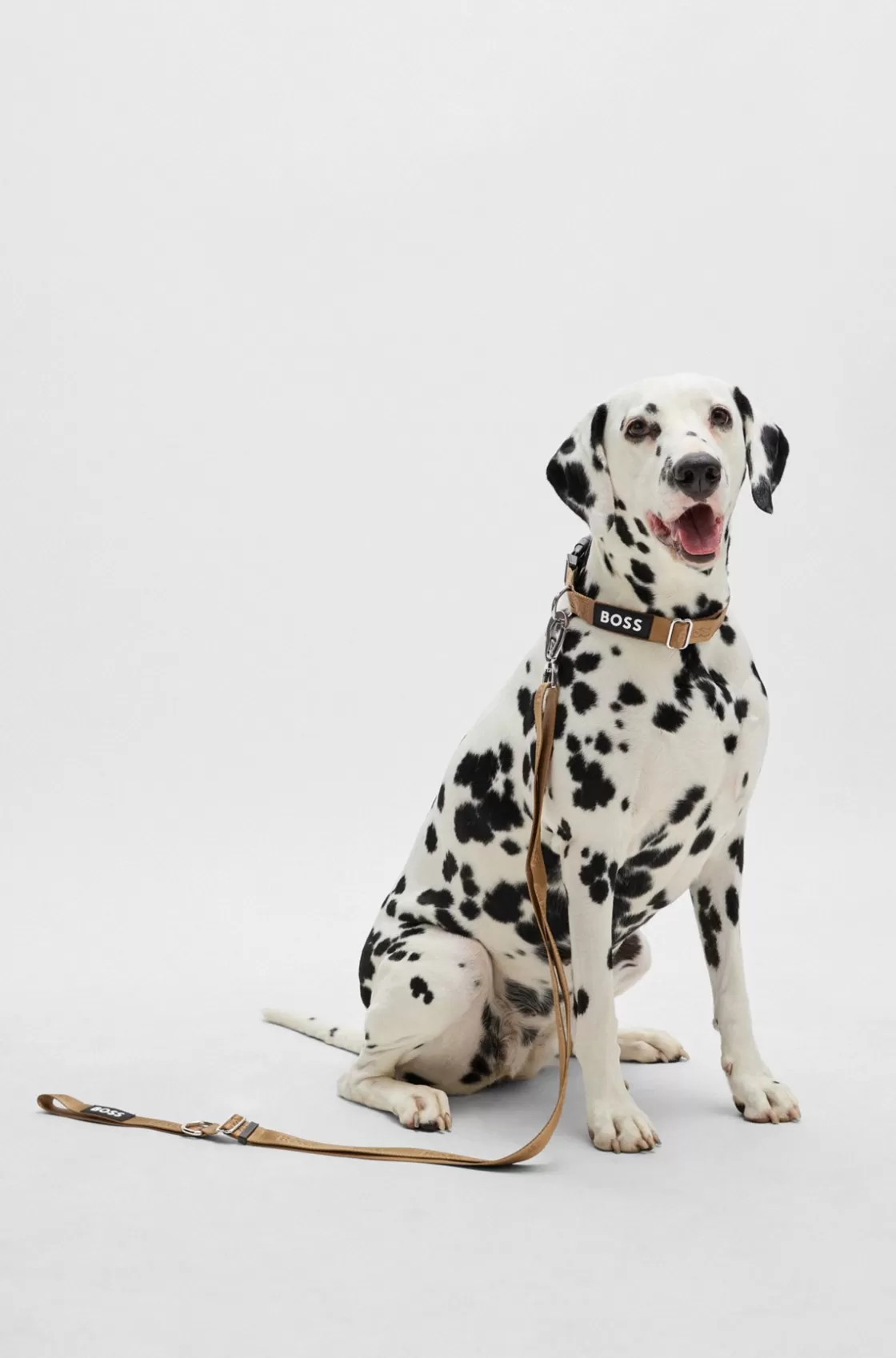HUGO BOSS Dog Lead With Jacquard Logo Detailing Beige Discount