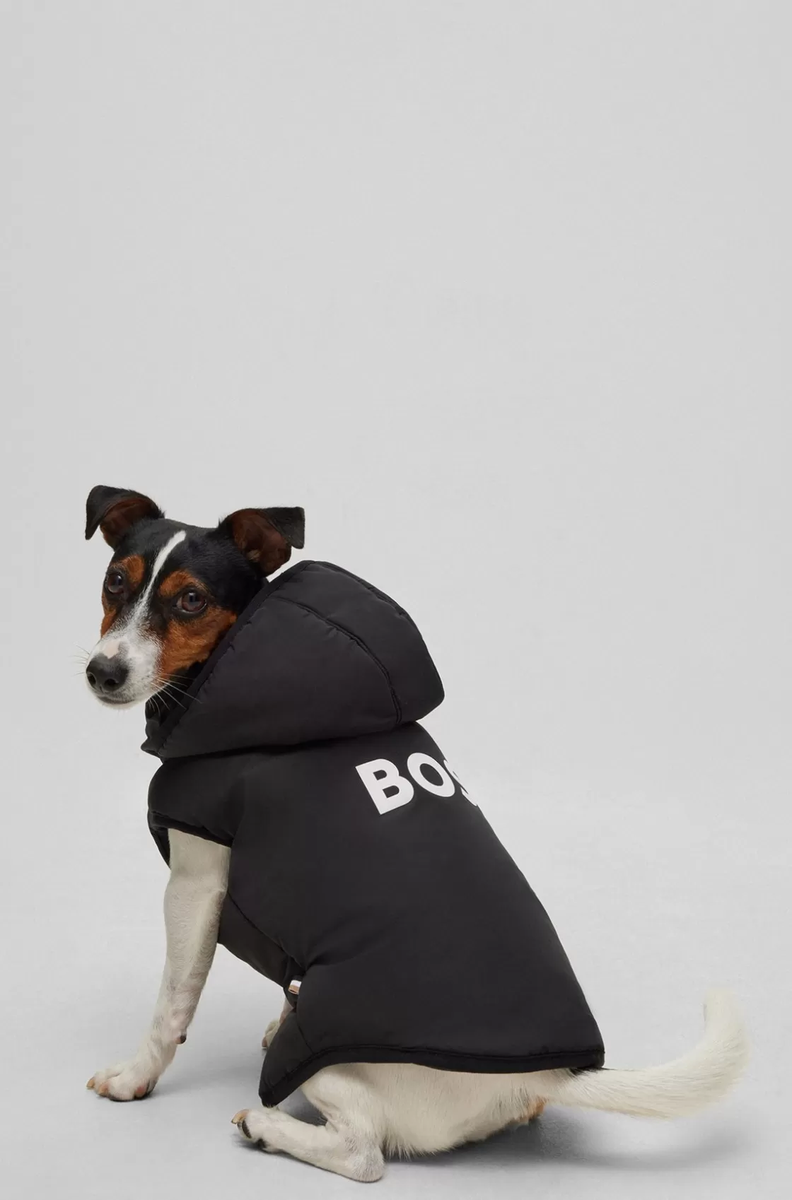 HUGO BOSS Dog Lightweight Jacket With Logo Detailing Black Fashion