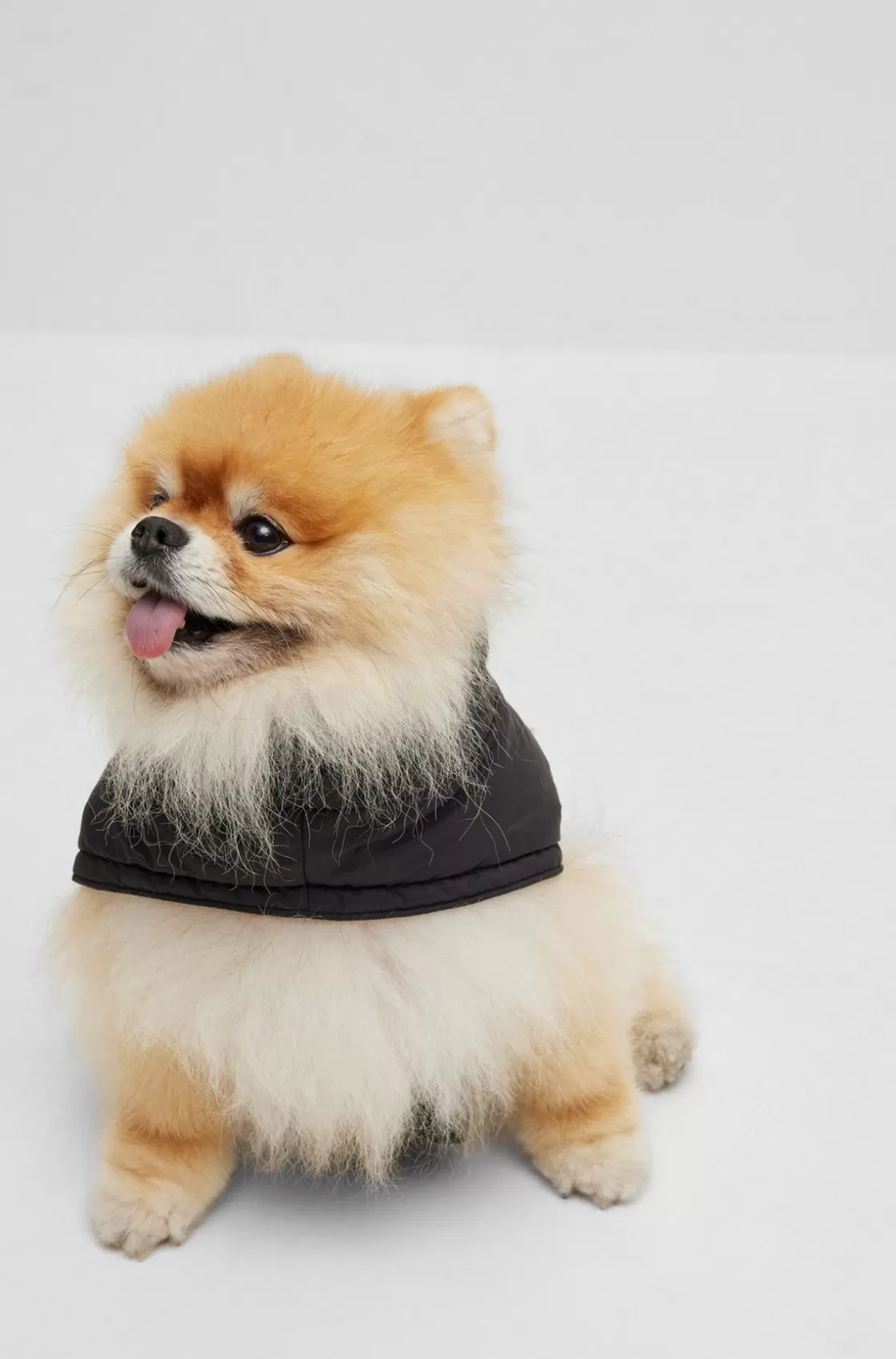 HUGO BOSS Dog Padded Jacket With Contrast Logo Black Discount