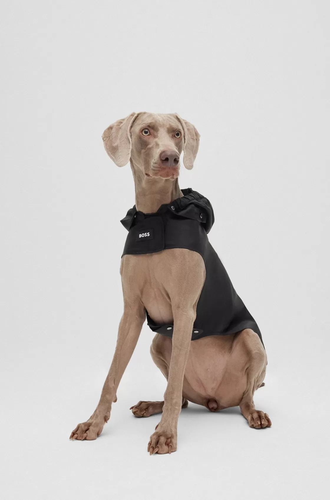 HUGO BOSS Dog Raincoat In Waterproof Fabric With Contrast Logo Black Sale