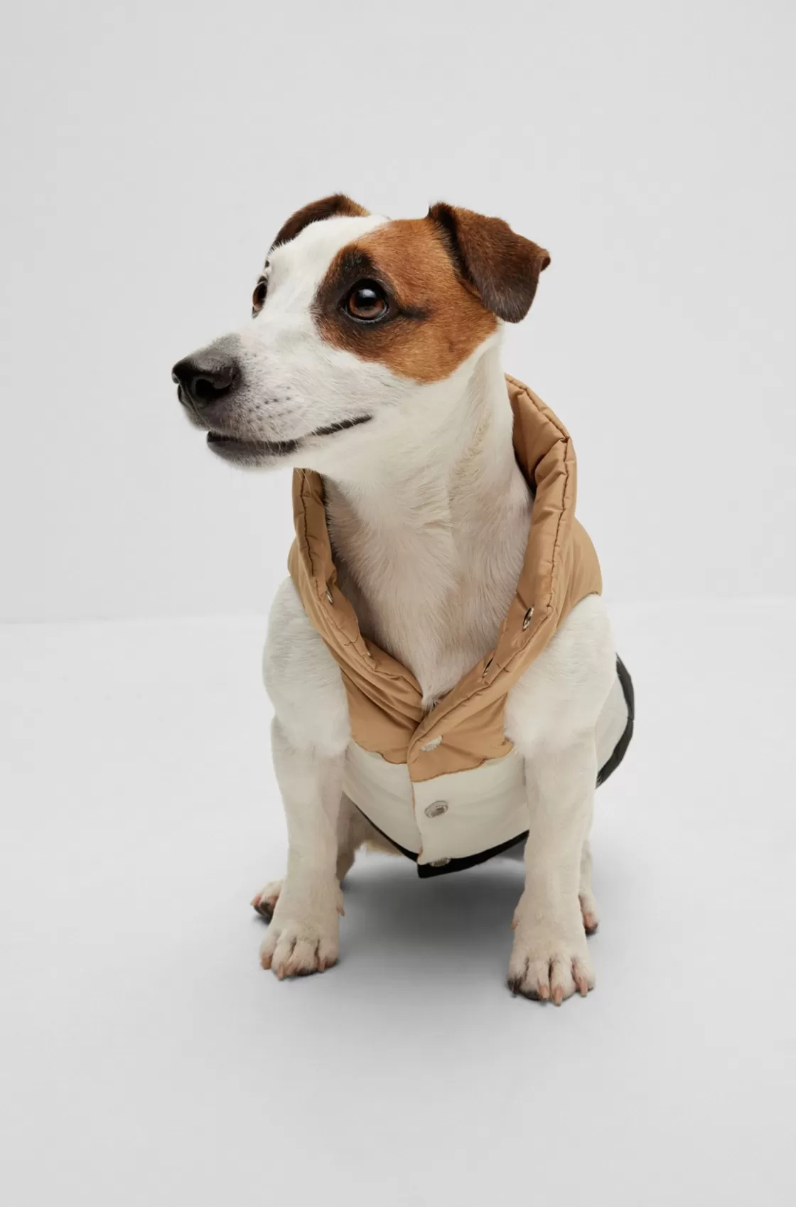 HUGO BOSS Dog Reversible Puffer Jacket Black New