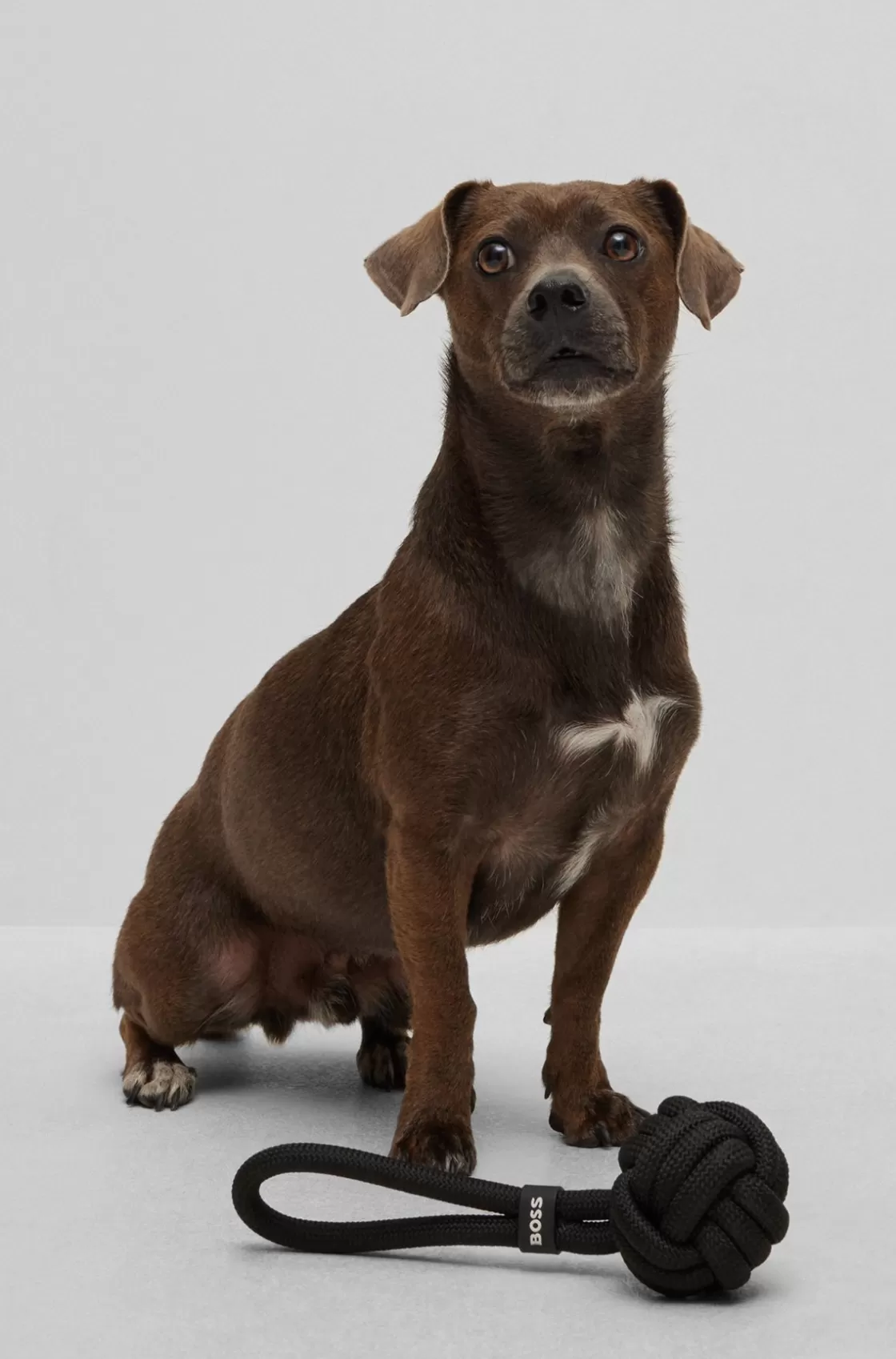 HUGO BOSS Dog Rope Ball Toy Black Fashion