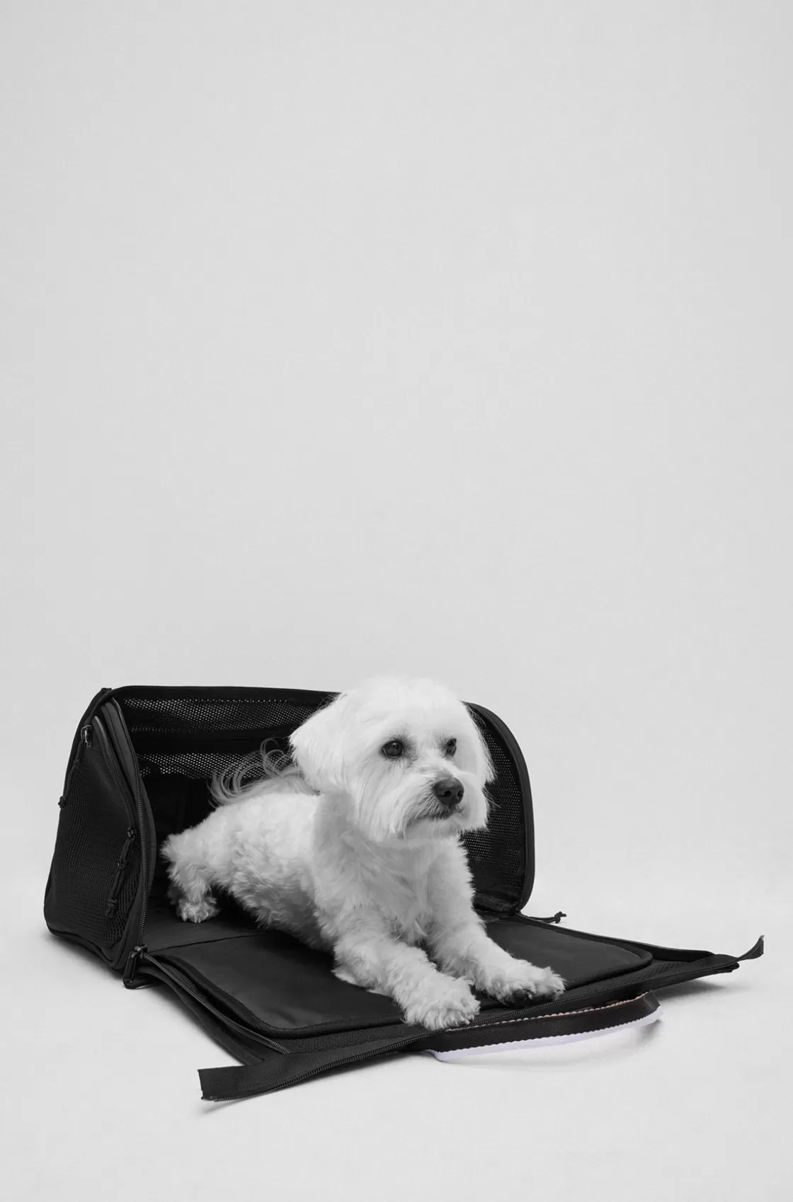 HUGO BOSS Dog Travel Bag With Quilted Mat Black Hot