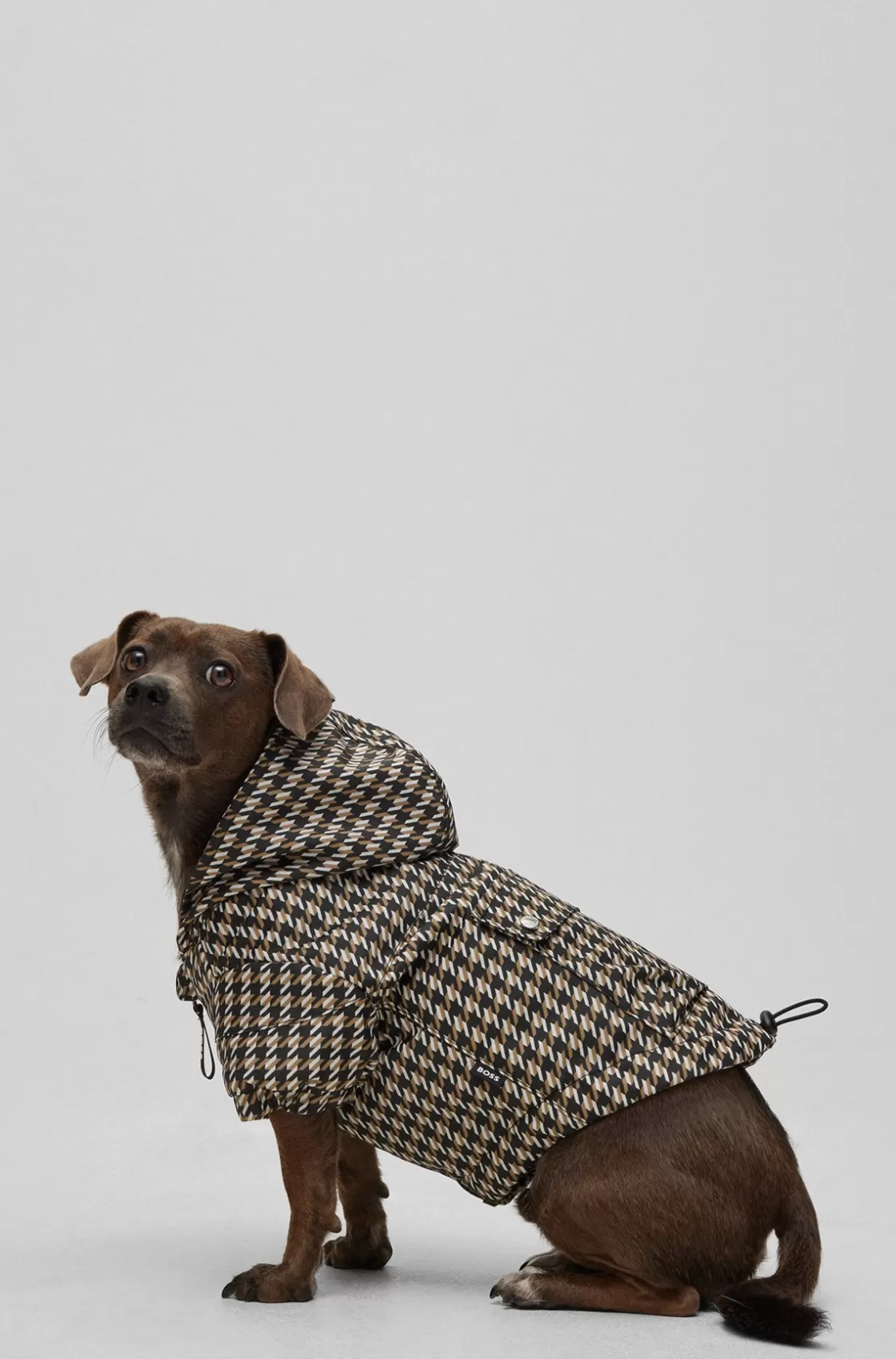 HUGO BOSS Dog Waterproof Rain Jacket Black Store