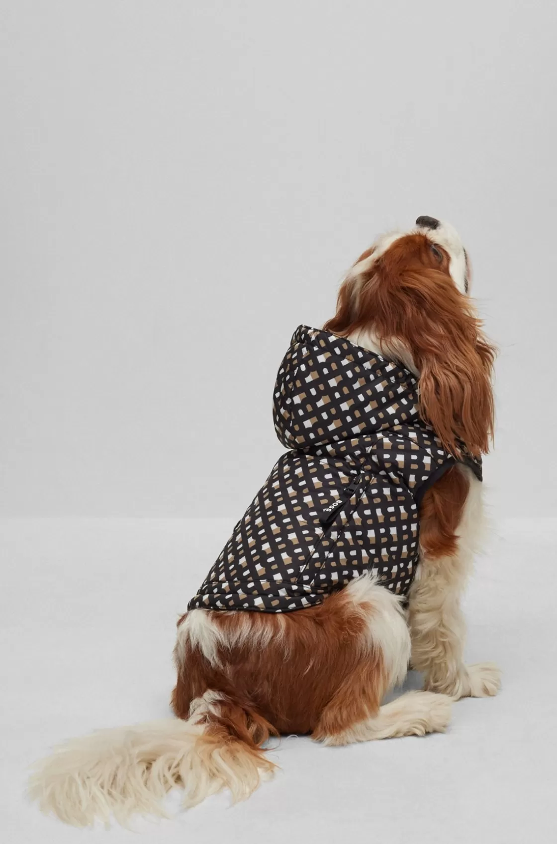 HUGO BOSS Dog Water-repellent Padded Jacket Black Clearance