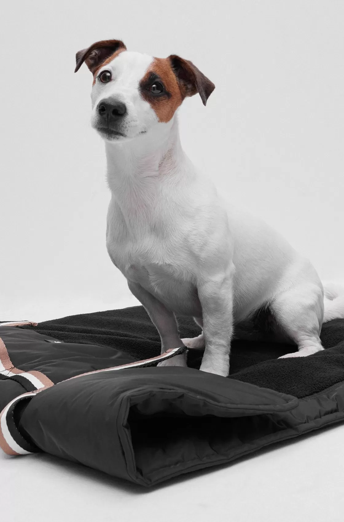 HUGO BOSS Portable Dog Mat With Sherpa Lining Black Flash Sale